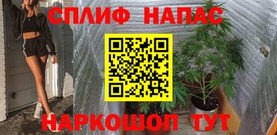 гидра Моздок