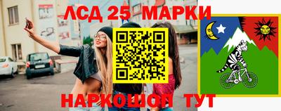 гидра Моздок