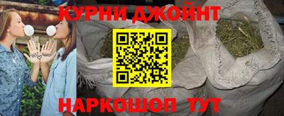 гидра Моздок