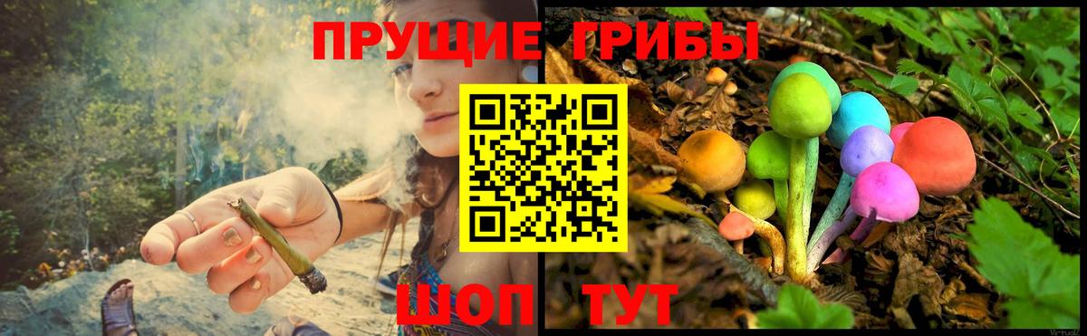 Галлюциногенные грибы мицелий  Галлюциногенные грибы MAGIC MUSHROOMS  Вход с VPN  Сочи 